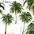 Lush Trio of Alexandra Palms 3D model small image 1