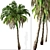 Lush Trio of Alexandra Palms 3D model small image 2