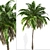 Lush Trio of Alexandra Palms 3D model small image 4