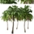 Lush Trio of Alexandra Palms 3D model small image 5