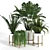 Green Haven Collection: 4 Indoor Plants 3D model small image 1