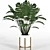 Green Haven Collection: 4 Indoor Plants 3D model small image 2