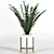 Green Haven Collection: 4 Indoor Plants 3D model small image 3