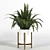 Green Haven Collection: 4 Indoor Plants 3D model small image 4