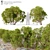 Redshanks Tree: Two Models, 2.5m Height 3D model small image 1