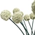 Elegant White Allium Vase: Handmade Flowers 3D model small image 2