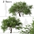 Refreshing green duo: Japanese Larch Trees 3D model small image 1