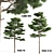 Natural Pine Tree 3D Model 3D model small image 1