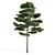 Natural Pine Tree 3D Model 3D model small image 3