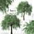 Weeping Silver Leaved Pear (2 Trees) 3D model small image 2