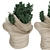 Desert Dream Cactus Pot 3D model small image 1