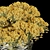 160 Plants Collection: High-Quality & Lightweight 3D model small image 2