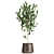 Exotic Plant Collection in Reclaimed Iron Pots 3D model small image 6