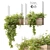 Natural Wood Hanging Plant Holder 3D model small image 1