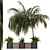 Outdoor Garden Set: Bush & Tree - 2015 Version 3D model small image 1