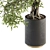 207 Indoor Big Bonsai Plant in Pot 3D model small image 2