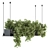 217 Indoor Hanging Plant Box Set 3D model small image 1