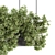 217 Indoor Hanging Plant Box Set 3D model small image 4