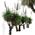Xanthorrhoea Arborea: Set of 2 Broad-leafed Grass Trees 3D model small image 3