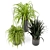 Lush Indoor Greenery - Set 012 3D model small image 2