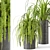 Lush Indoor Greenery - Set 012 3D model small image 4