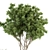 Nature's Oasis - Outdoor Plant Set 3D model small image 3