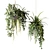 Green Delight: Hanging Pot Compositions with Ampelous Plants 3D model small image 1