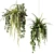 Green Delight: Hanging Pot Compositions with Ampelous Plants 3D model small image 3