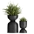 Exotic Black Pot Plant Collection 3D model small image 2