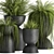Exotic Black Pot Plant Collection 3D model small image 3