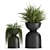 Exotic Black Pot Plant Collection 3D model small image 4