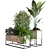 Exquisite Plant Set 049 3D model small image 6