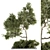 Evergreen Garden Set 13 - Transform Your Garden! 3D model small image 1