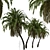 Exquisite Pair of Senegal Date Palms 3D model small image 4