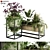 Eco-Plants Set 052: Modern Greenery 3D model small image 1