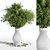 Green Branch Plants in Vase 3D model small image 6