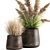 Exotic Plant Collection: Repurposed Iron Pot 3D model small image 2