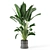 Concrete Pot Indoor Plant Set 3D model small image 5