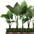 Tropical Plant Collection in Rustic Metal Pots 3D model small image 2