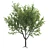 Speed Tree Model for Stunning Landscape 3D model small image 1