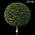 Lush Shrubbery 001: Detailed and Realistic 3D model small image 3