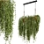 Natural Wood Indoor Hanging Plants with Macrame Décor 3D model small image 2