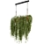 Natural Wood Indoor Hanging Plants with Macrame Décor 3D model small image 6