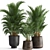 Tropical Plant Collection: Exotic Palms in Rustic Pots 3D model small image 2