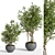 Green Oasis Indoor Plant Set 3D model small image 3