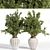 19-Piece Indoor Plant Set for Stunning Home Decor 3D model small image 1