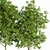 Outdoor Tree Plants 11 3D model small image 4