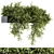206 Outdoor Hanging Plant Set 3D model small image 1