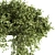 206 Outdoor Hanging Plant Set 3D model small image 3