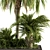 Tropical Oasis Garden Set 3D model small image 2